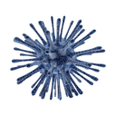 Immunity - ViRid White.webp