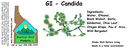 GI - Candida ST 4x1.5.webp