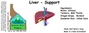 Liver - Support ST 4x1.5.webp
