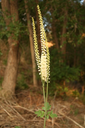 IMG_7470 copy.webp