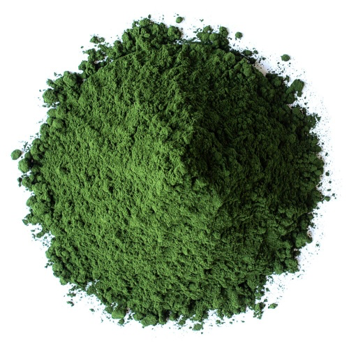 chlorella-powder.webp
