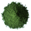 chlorella-powder.webp