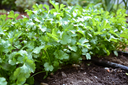 image-asset-1963940682.webp