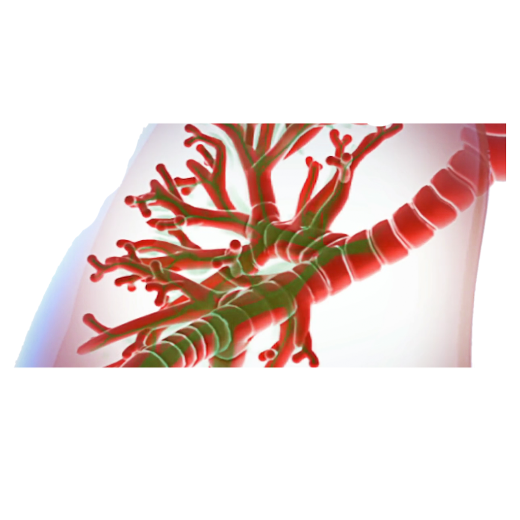 Respiratory - Expel+ White.webp