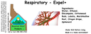 Respiratory - Expel+ ST 4x1.5.webp