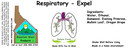 Respiratory Expel NF 4x1.5.webp