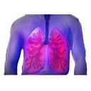 Respiratory - Open Lungs White.webp