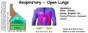 Respiratory - Open Lungs NF 4x1.5.webp