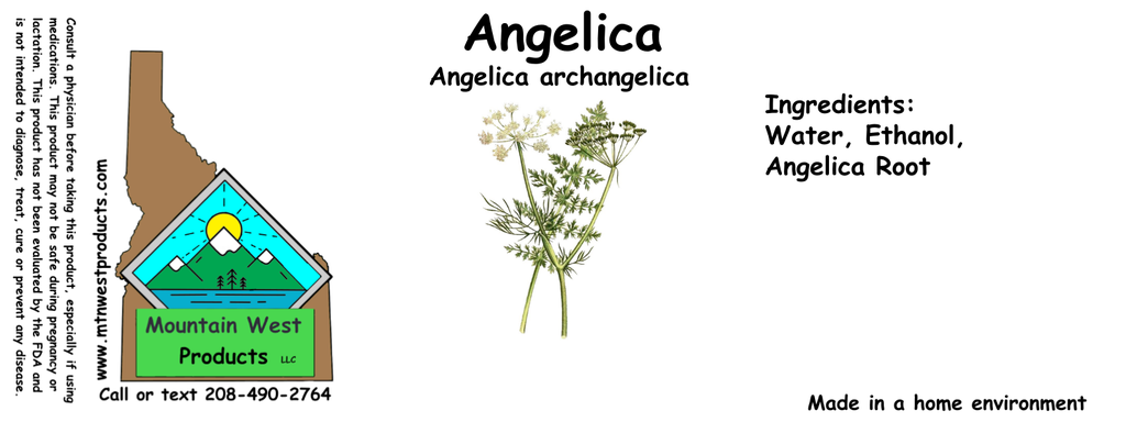 Angelica Root ST 4x1.5.webp