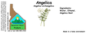 Angelica Root ST 4x1.5.webp