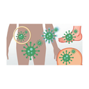 Skin - Fungal White.webp