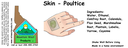 Skin - Poultice ST 4x1.5.webp