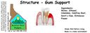 Structure - Gum Support ST 4x1.5.webp