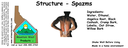 Structure - Spazms ST 4x1.5.webp