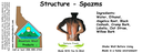 Structure - Spazms NF 4x1.5.webp
