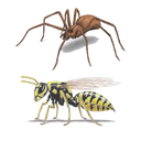 Structure - Venom & Sting White.webp