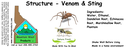 Structure - Venom & Sting NF 4x1.5.webp