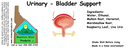 Urinary - Bladder Support ST 4x1.5.webp