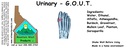 Urinary - GOUT ST 4x1.5.webp