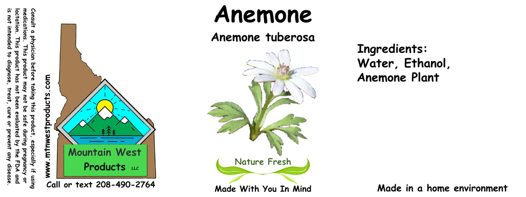 Anemone NF 4x1.5.webp