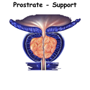Gland - Prostate Support ST