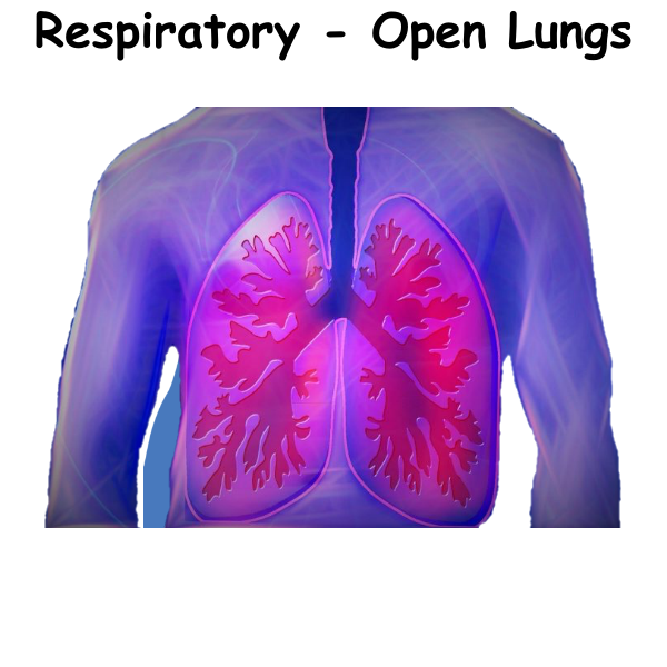 Respiratory - Open Lungs ST