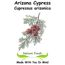 Arizona Cypress