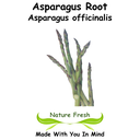 Asparagus Root