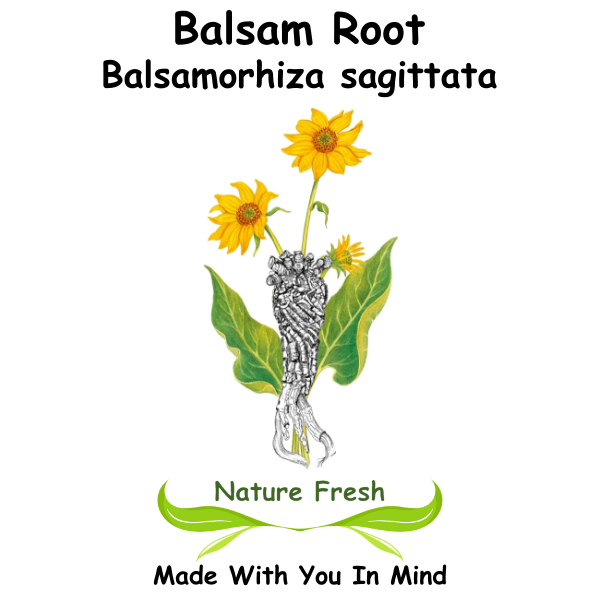 Balsamroot