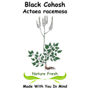 Black Cohosh