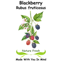 Blackberry