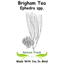 Brigham Tea