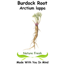 Burdock
