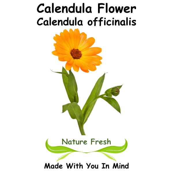 Calendula