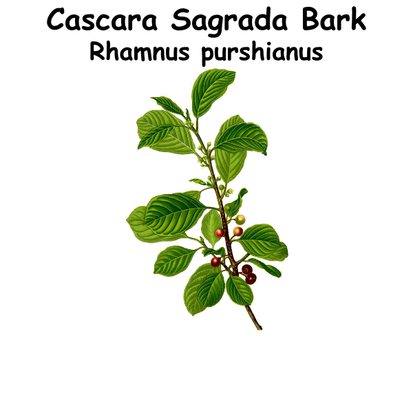Cascara Sagrada ST