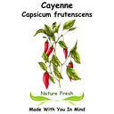 Cayenne