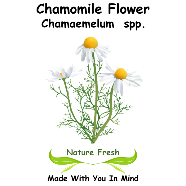 Chamomile