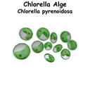 Chlorella ST