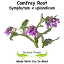 Comfrey Root