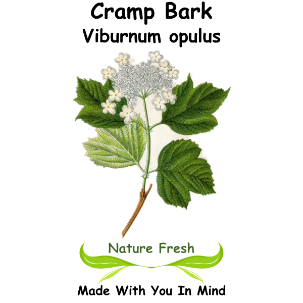 Cramp Bark