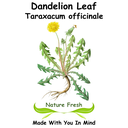 Dandelion Leaf