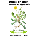 Dandelion Root