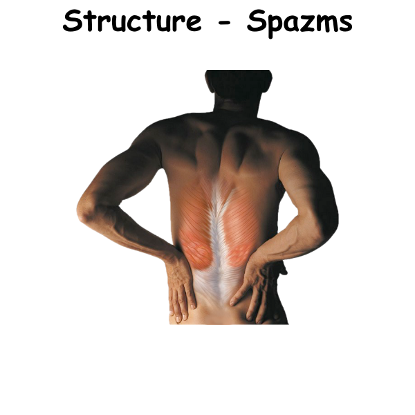 Structure - Spazms ST