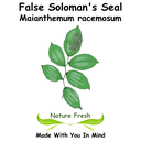 False Soloman's Seal