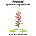 Fireweed
