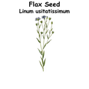 Flax Seed ST