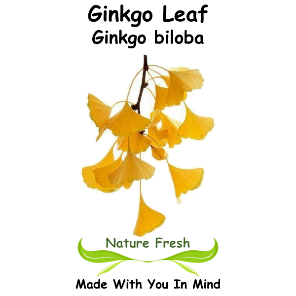 Ginkgo
