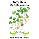 Gotu Kola