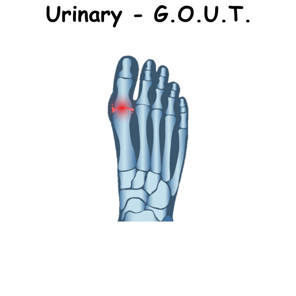 Urinary - G.O.U.T. ST