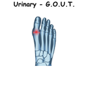 Urinary - G.O.U.T. ST